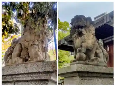 亀戸 香取神社(東京都)