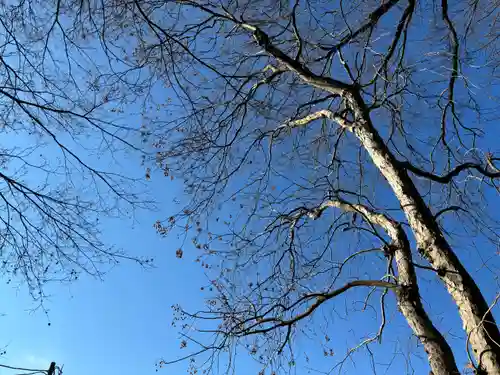 赤城神社(千葉県)