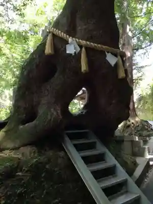 笠森寺のその他建物