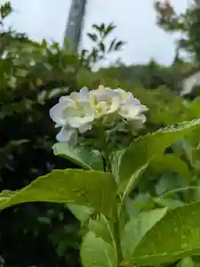 石内のお大師さん 金剛院(広島県)(2024年07月02日(火) 12時02分00秒投稿)