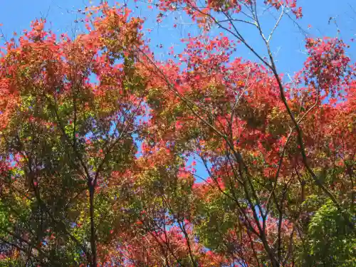 俵山八幡宮(山口県)