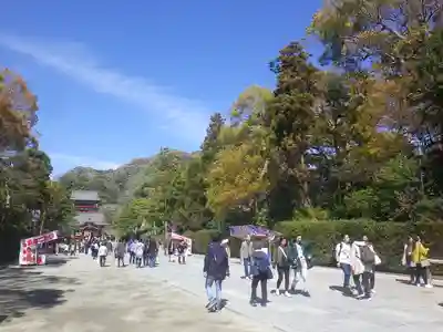 鶴岡八幡宮のその他建物
