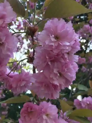 播州清水寺の自然