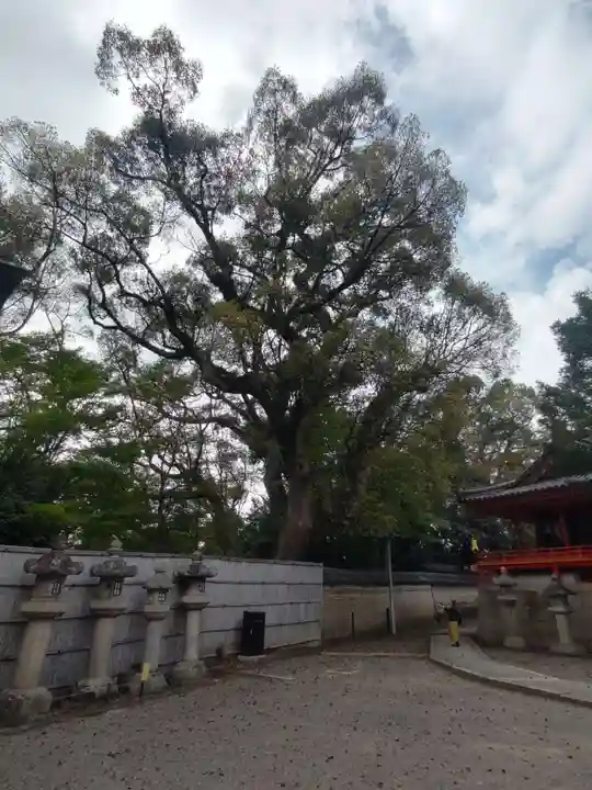 石清水八幡宮(京都府)