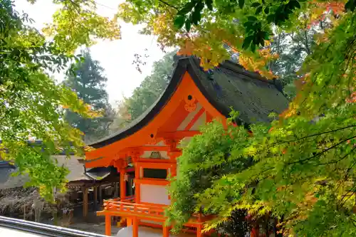 出雲大神宮の本殿・本堂