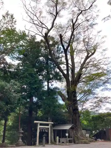 國津神社(三重県)