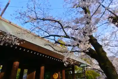靖國神社(東京都)