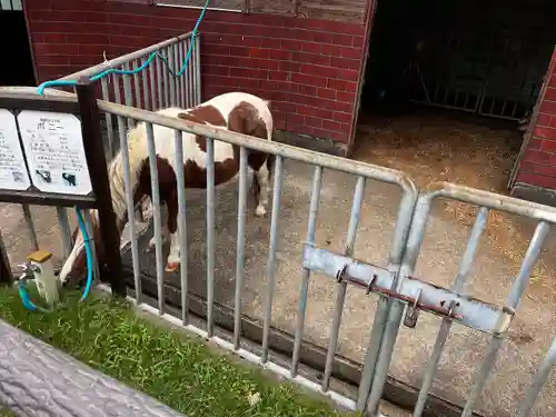 弘法院大師堂(福井県)