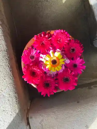 菅生神社の手水舎