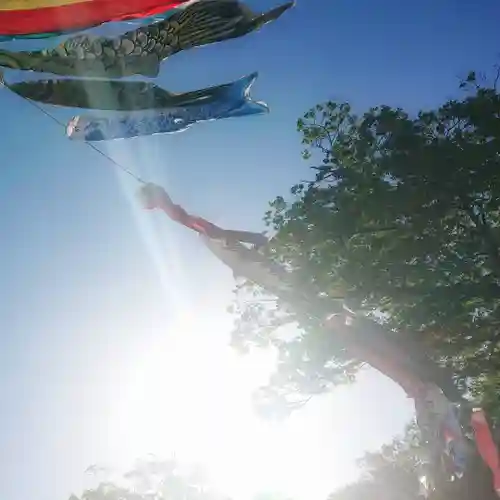 尾張大國霊神社（国府宮）のその他建物