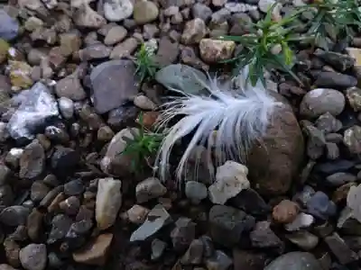 劒神社(福井県)