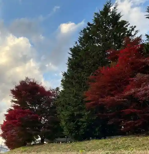 滑川神社 - 仕事と子どもの守り神の自然