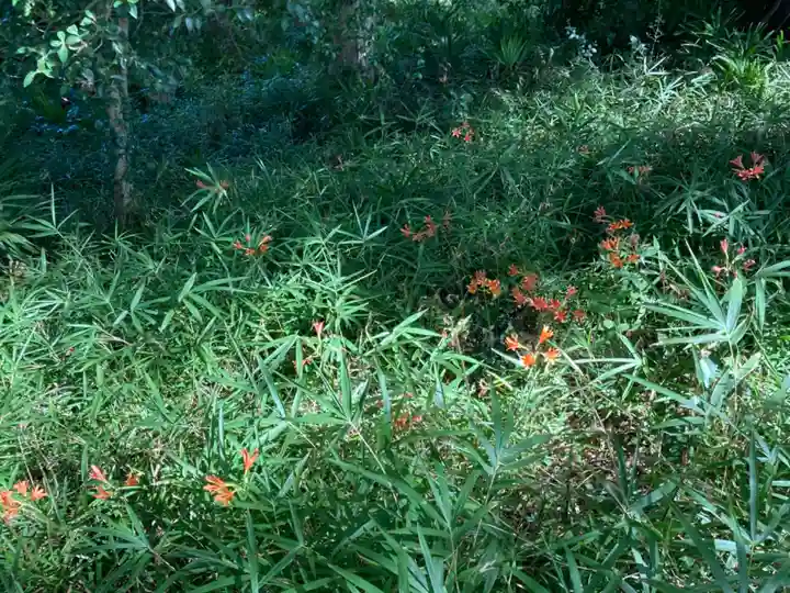 蛟蝄神社門の宮(茨城県)