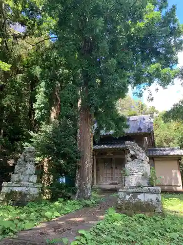 八幡神社の狛犬