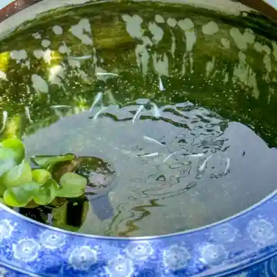 伊勢の国 四天王寺(三重県)