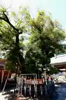 伊奴神社(愛知県)