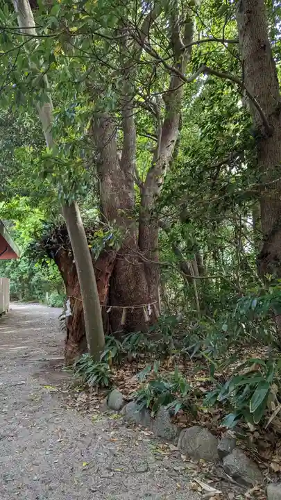 津八幡宮(三重県)