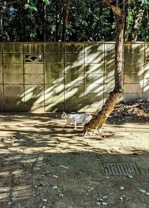 柏諏訪神社の動物