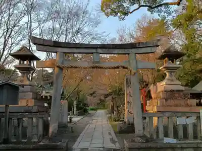 宗像神社の鳥居