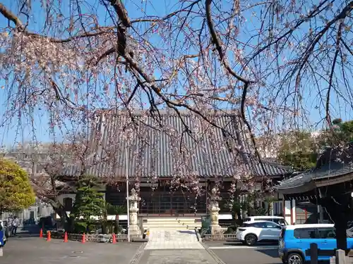 大正寺(静岡県)
