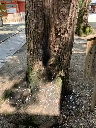 御霊神社(大阪府)