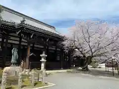 本法寺(京都府)