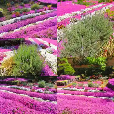 寿量山 速成寺(奈良県)