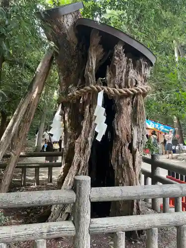 賀茂御祖神社（下鴨神社）の自然