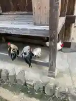 大崎八幡宮(宮城県)