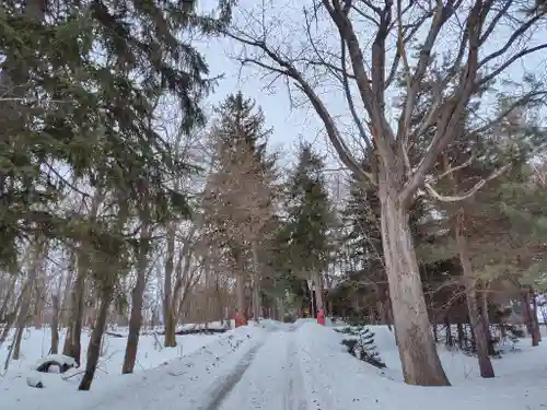 神楽神社(北海道)