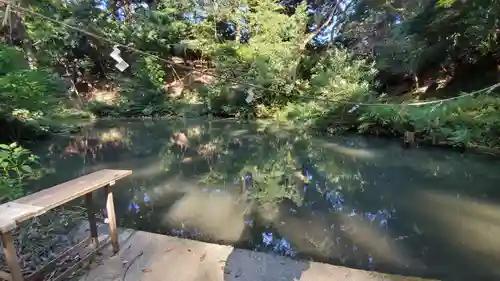 曽許乃御立神社の庭園