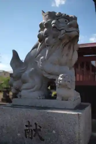 氷川神社の狛犬