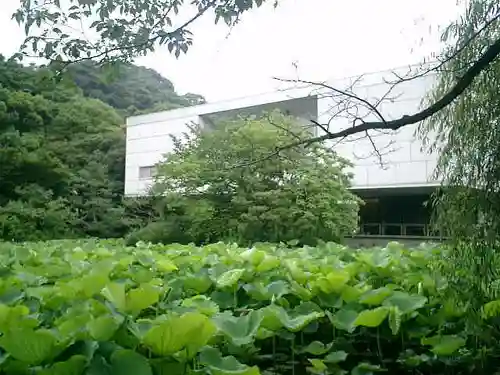 鶴岡八幡宮の庭園