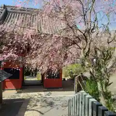 楽法寺（雨引観音）の自然