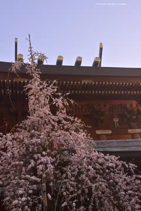 湯島天満宮(東京都)