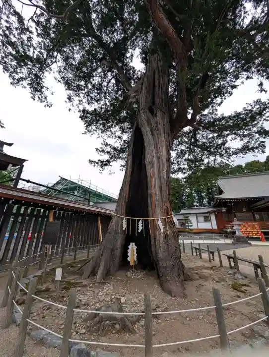 諏訪神社(岩手県)