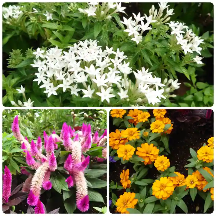 よみうりランド観音(東京都)