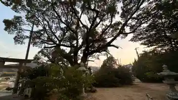 熊野神社(兵庫県)