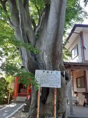三皇熊野神社本宮(秋田県)