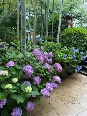 鈴鹿明神社(神奈川県)