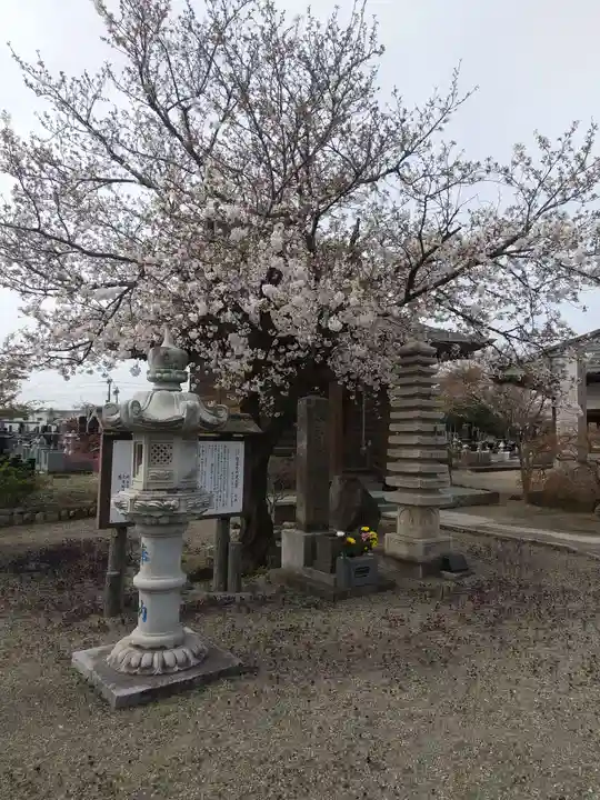 陽雲寺(埼玉県)
