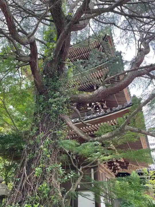 東禅寺(東京都)