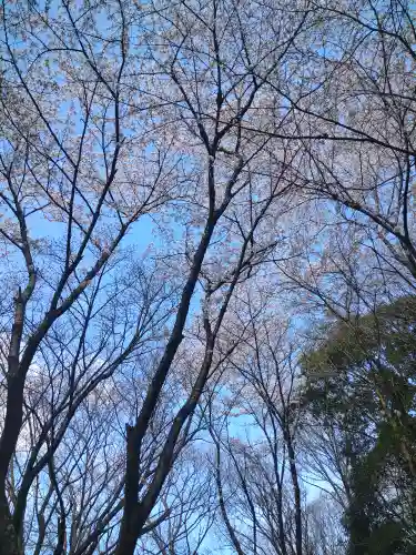 足高神社の自然