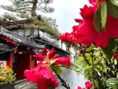 善光寺一山正信坊(長野県)