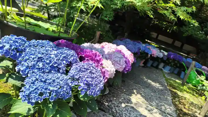 勝林寺(京都府)