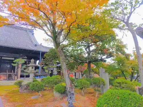 專福寺の庭園