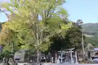 須賀神社(滋賀県)