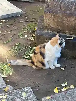 正受院(東京都)