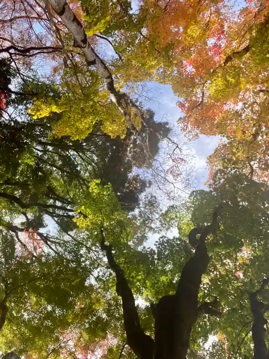 笠置寺(京都府)
