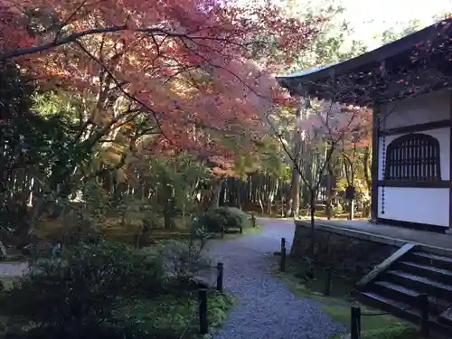 地蔵院の景色